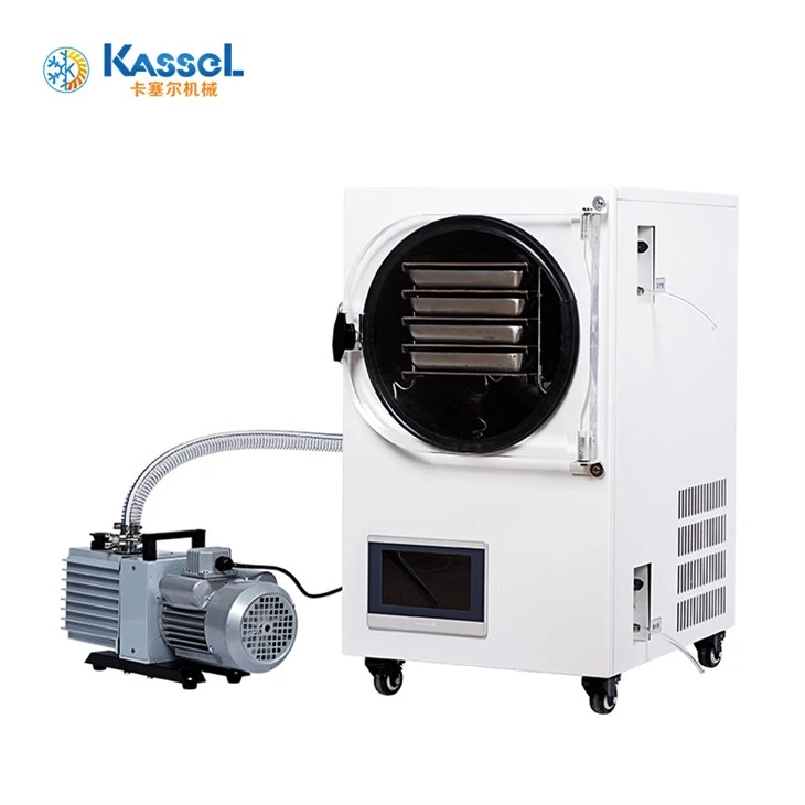 Vacuum Freeze Dryer At Home With Pump