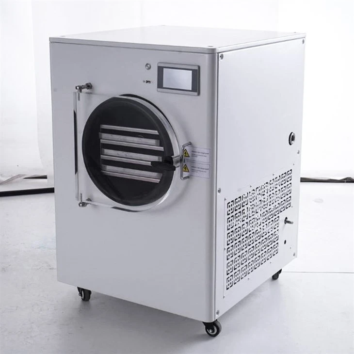 Vacuum Freeze Dryer At Home With Pump